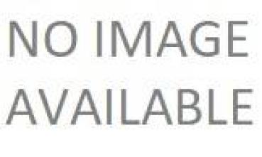 Cavalry command. Unarmoured horses.