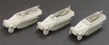 Sdkfz 251/1S or 2D or 10D (support weapons)
