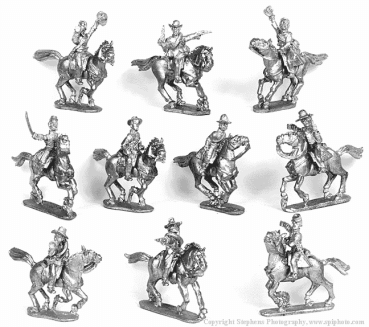 Confederate Cavalry Command