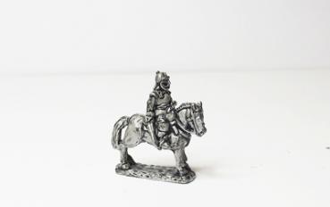 Mounted Offcers -  n helmet (5)
