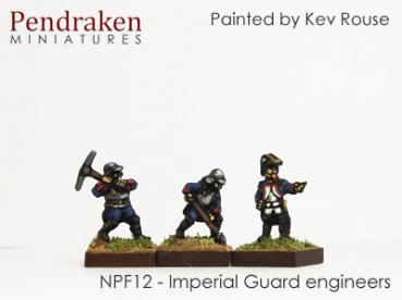 mperal Guard engneers (16)