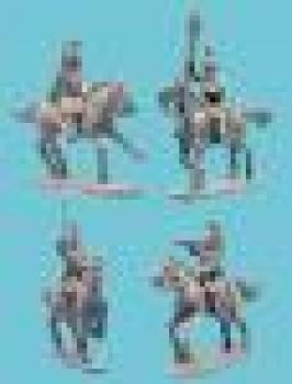 Dragoon Command n Habt-Veste