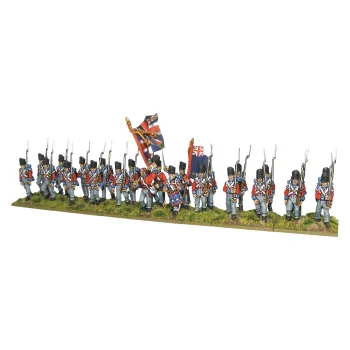 British Line Infantry (Waterloo)