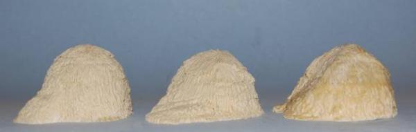 Hay Stacks