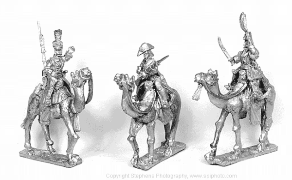 Dromedary Corps