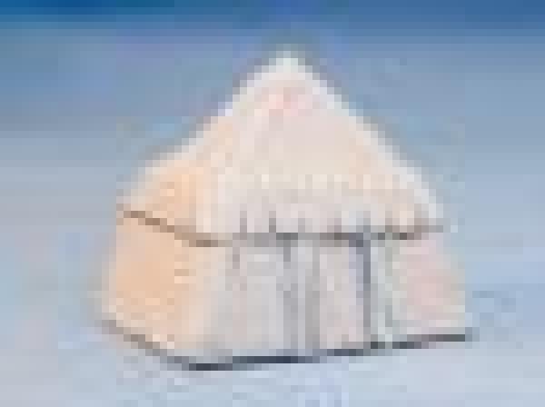 Warror Square Tent