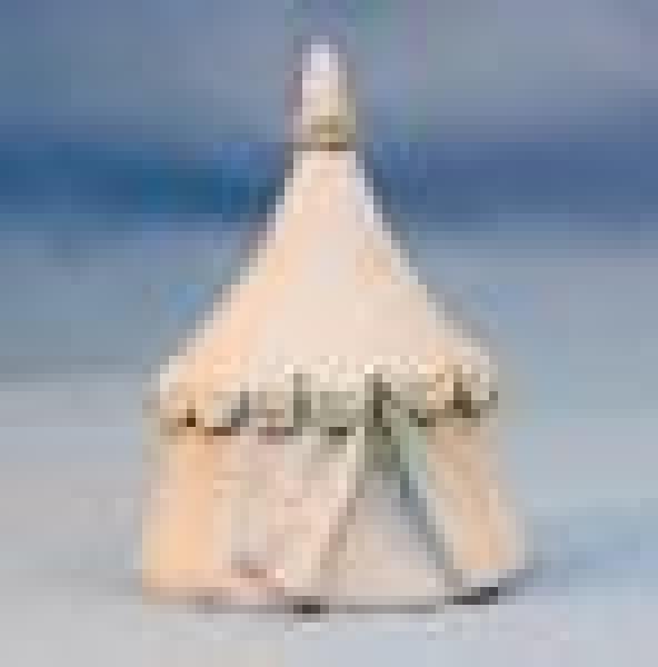 Medeval Noblemans Tent