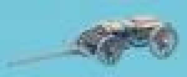 Flat Bed Supply Wagon