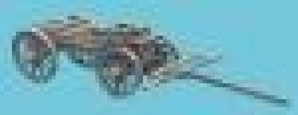 Flat Bed Engneers Wagon