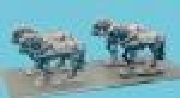 Generc Wagon Horses