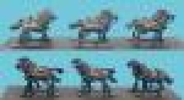 French Lmber Horses - Wthout Rders