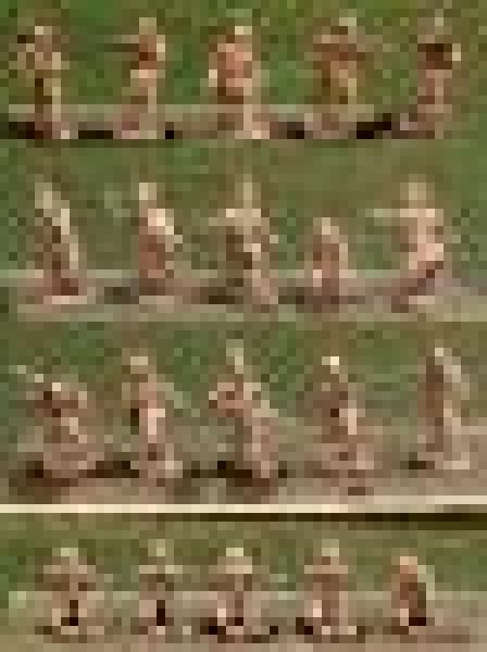 Dsmounted Plans Warrors