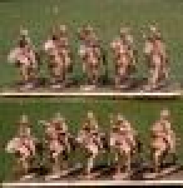 Mounted US Cavalry wth command