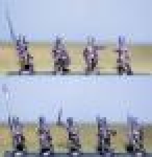 German Command n Shako