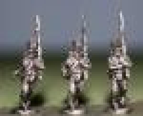 German lne n Shako March Attack