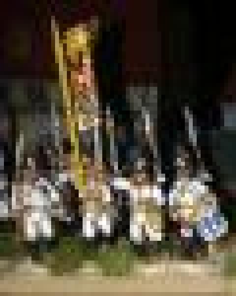 German Grenader Command