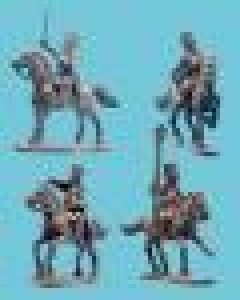 Carabners Command n Bearskn