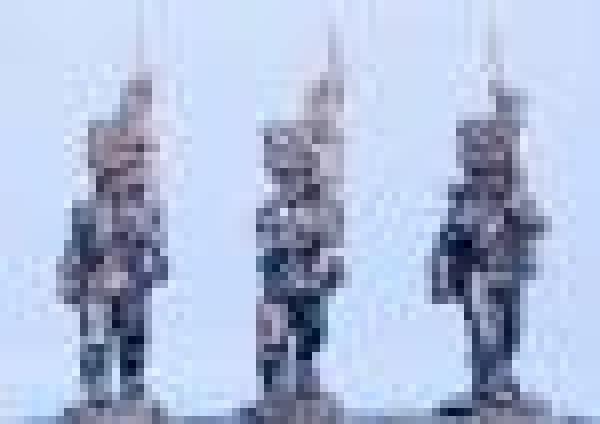 Legere Flank Company (Bearskns)