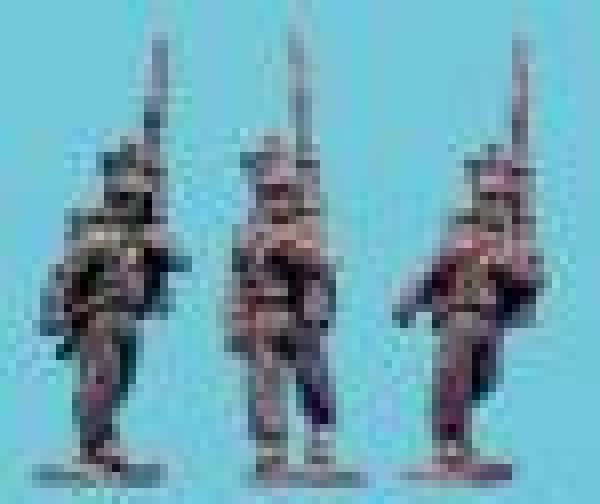 1810-1814 Saxon Musketeers