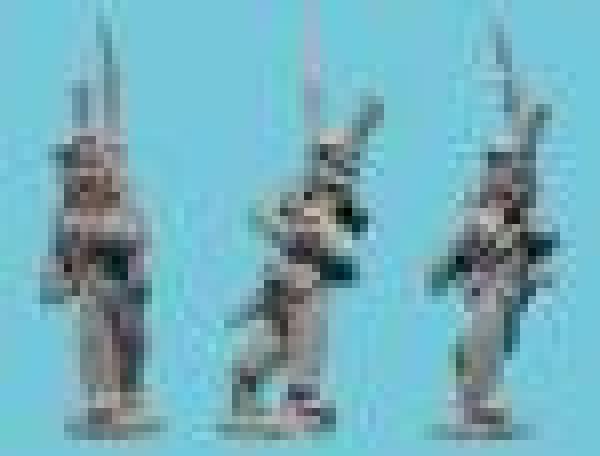 Dutchy of Warsaw Voltgeurs