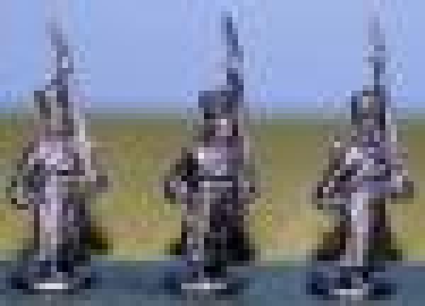Musketeers n Greatcoat Marchng