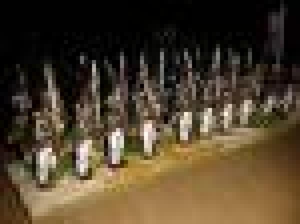 Grenader March Attack