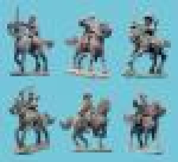 Afghan Regular Cavalry wth Command