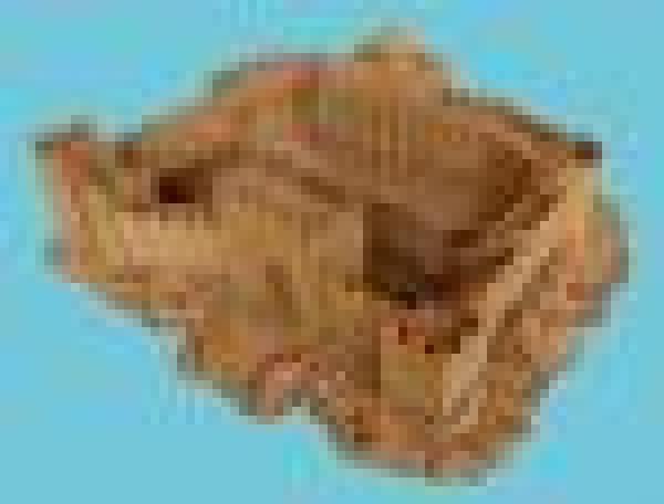 Hll Fort n Brown
