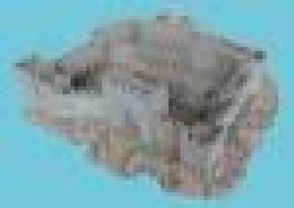 Hll Fort n Grey