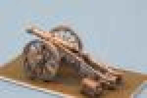 Prussan 12 Pound Guns