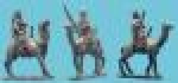 Mounted Brtsh Camel Corps