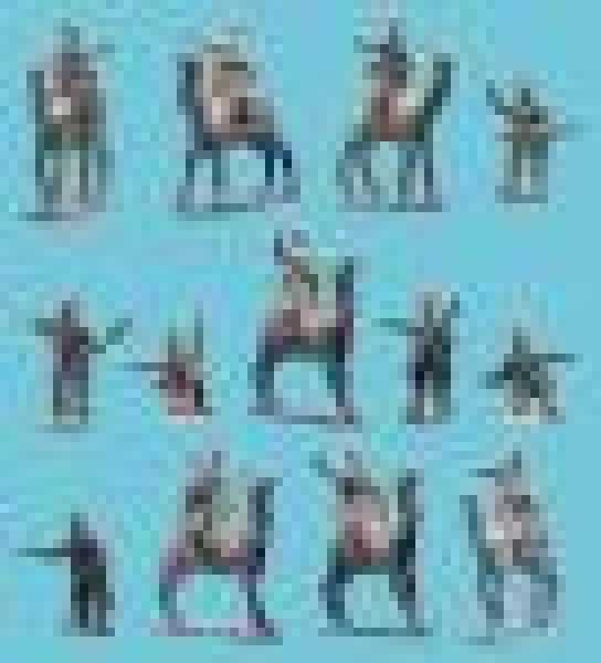 Egyptan Camel Corps Command - mounted and dsmounted