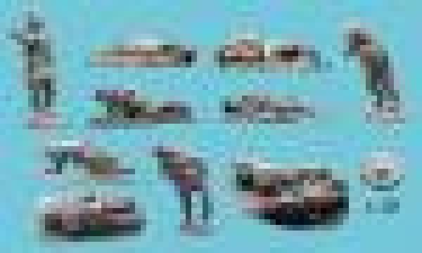 Fuzze- Wuzze casualtes