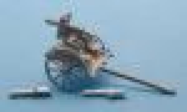 Maxm MG on Cavalry Carrage