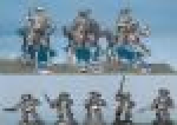 Mounted and Dsmounted Cardnals Guard