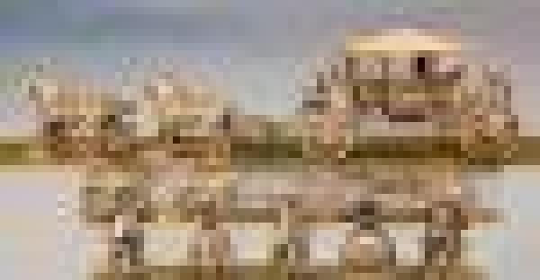 Coach Stopped.  beng robbed