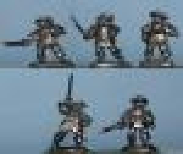 Dsmounted Cardnals Guard