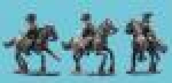 Regments of Horse Troopers